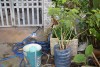 Cục Y tế dự phòng khuyến cáo dọn dẹp vệ sinh quanh khu vực sinh sống bảo vệ bản thân và gia đình trước dịch sốt xuất huyết đang bùng phát mạnh.
