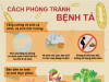 Tuyên truyền phòng bệnh tả