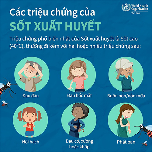 phong benh sot xuat huyet 2