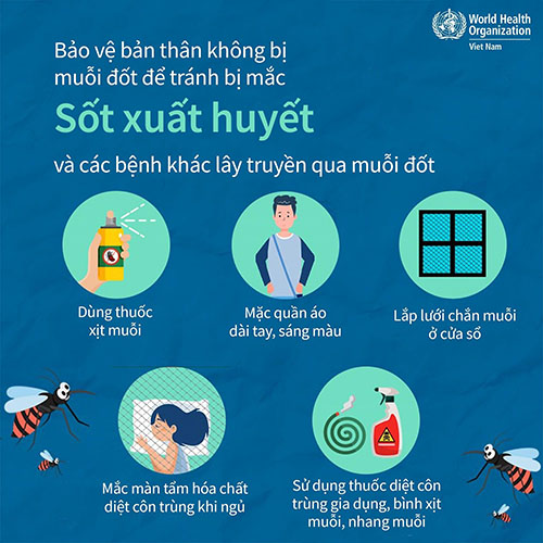 phong benh sot xuat huyet 8