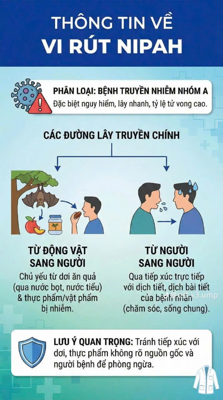 Nipah3